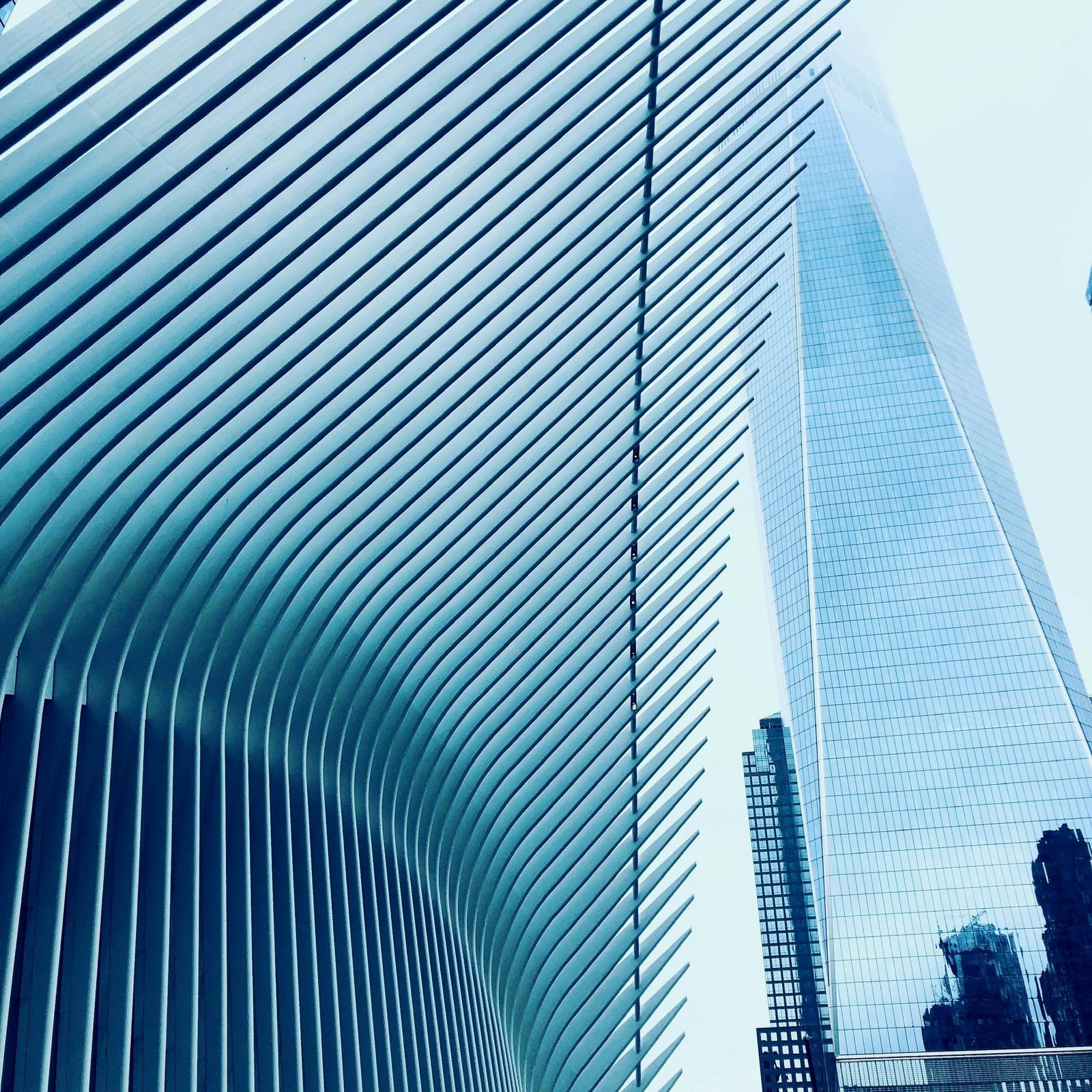 Close-up of the Oculus and One World Trade Center in NYC showcasing modern architectural design.