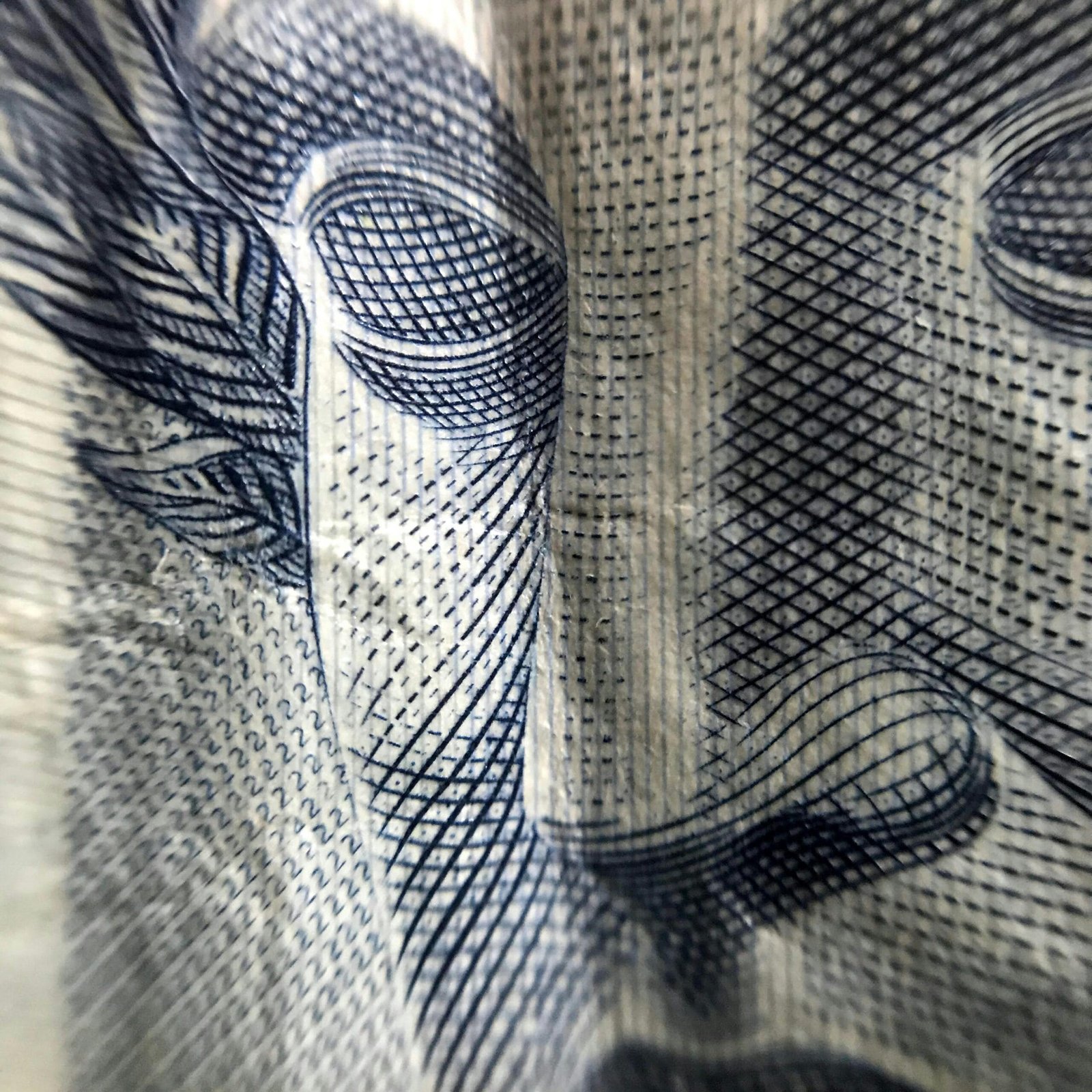 A macro shot showing the intricate design of a Brazilian currency note highlighting texture and detail.