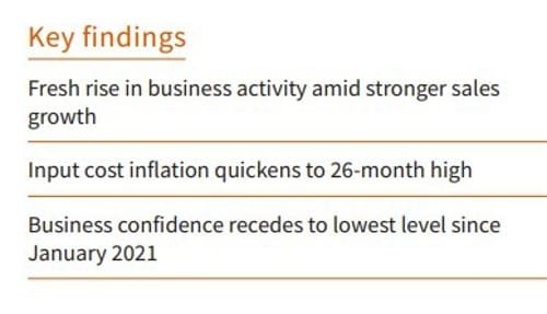 Daily Market Roundup