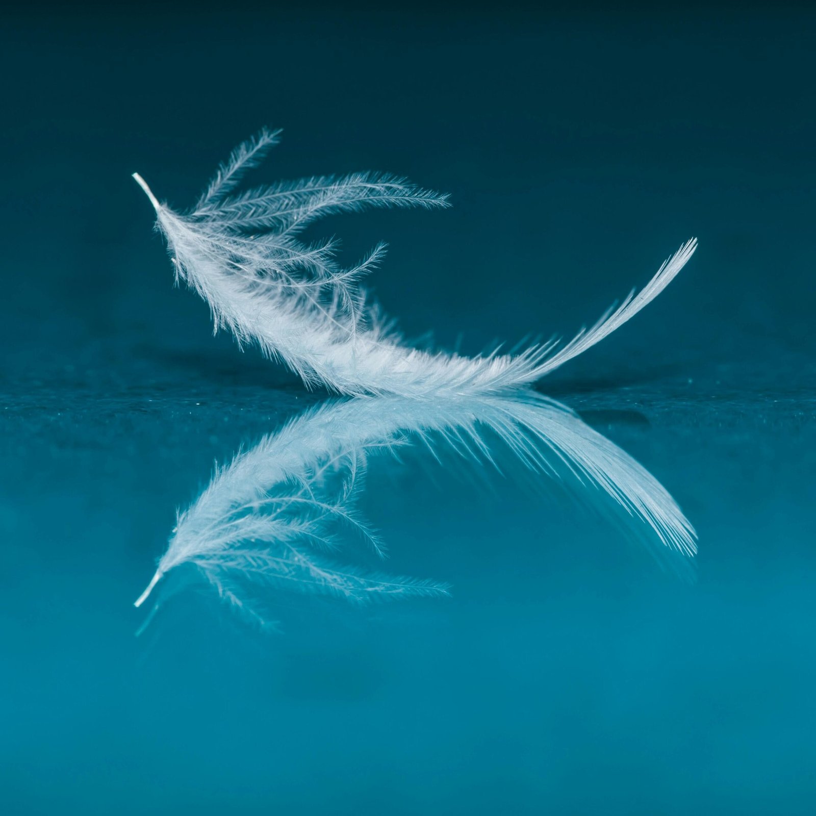 Close-up of a white feather reflecting on a calm blue surface, evoking serenity.