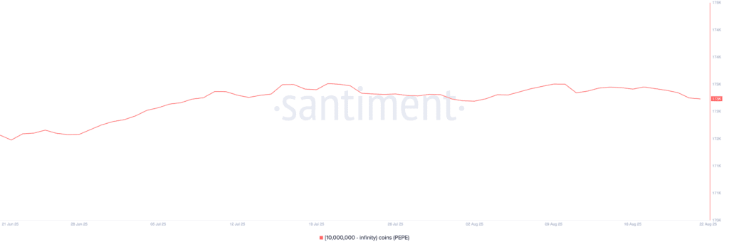 Daily Market Roundup