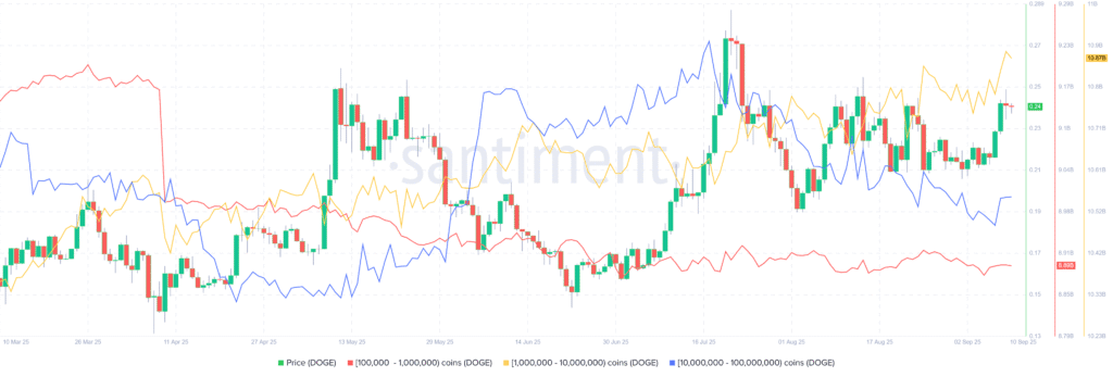 Daily Market Roundup