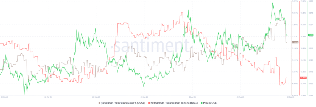 Daily Market Roundup