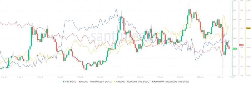 Daily Market Roundup