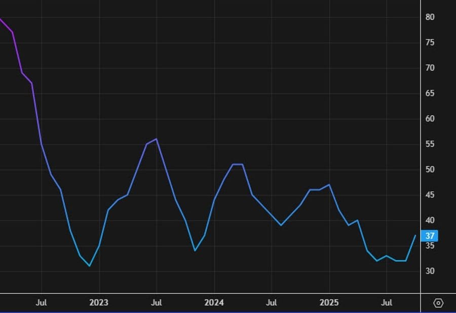Daily Market Roundup