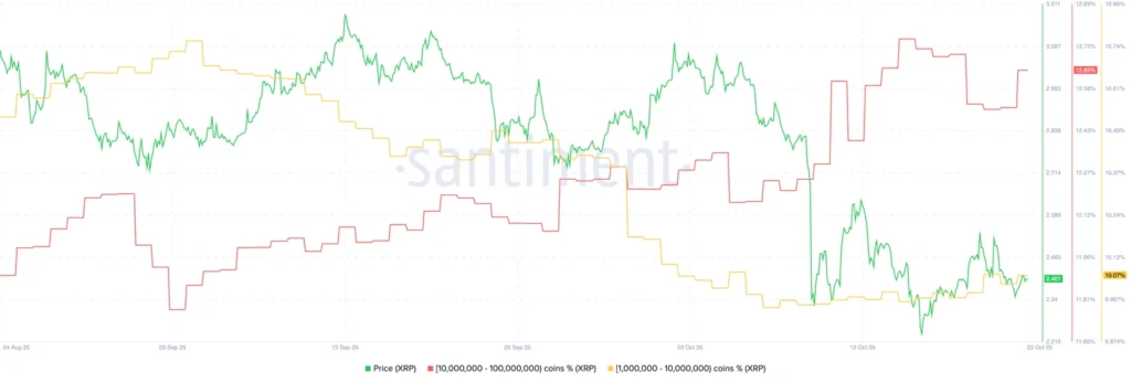 Daily Market Roundup