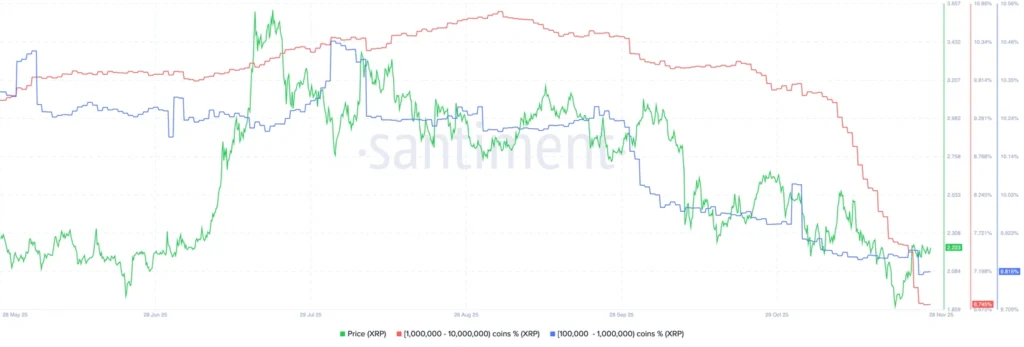 Daily Market Roundup