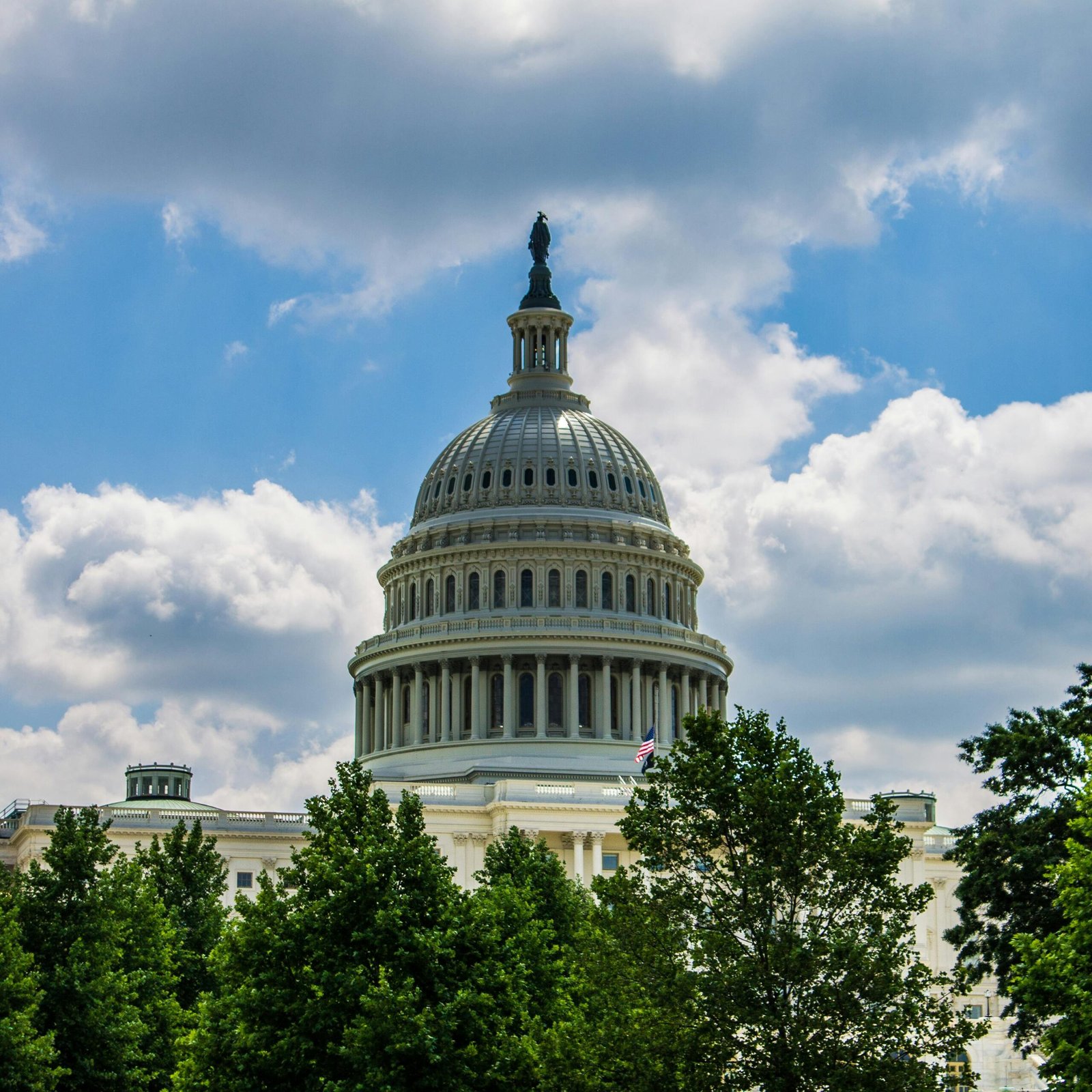 Elegant capture of the U.S. Capitol dome in Washington, D.C. surrounded by lush greenery under a vibrant sky.