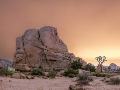 Daily Market Roundup