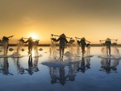 salt harvesting, vietnam, water, salt, work, people, reflection, hon khoi, salt field, salina, tropical, agriculture, asia, harvest, asian, hats, traditional, vietnam, vietnam, nature, vietnam, vietnam, salt, work, work, work, work, work, people, people, agriculture