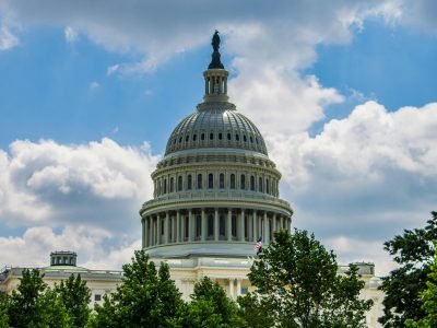 Elegant capture of the U.S. Capitol dome in Washington, D.C. surrounded by lush greenery under a vibrant sky.